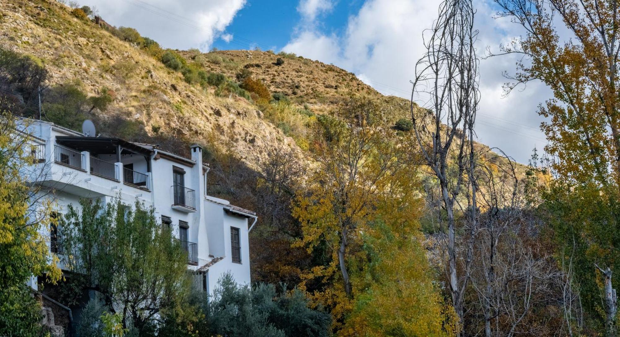 Casa Rural Arroyo De La Greda 圭哈尔谢拉 外观 照片